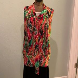 Awesome Jewel Tone Sleeveless Blouson Tunic